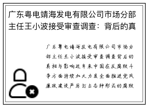 广东粤电靖海发电有限公司市场分部主任王小波接受审查调查：背后的真相与影响
