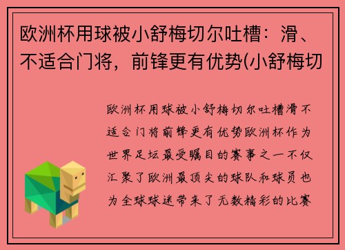 欧洲杯用球被小舒梅切尔吐槽：滑、不适合门将，前锋更有优势(小舒梅切尔转会)