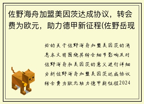 佐野海舟加盟美因茨达成协议，转会费为欧元，助力德甲新征程(佐野岳现状)