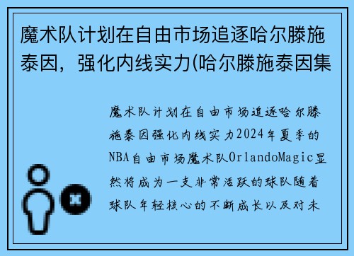 魔术队计划在自由市场追逐哈尔滕施泰因，强化内线实力(哈尔滕施泰因集锦)