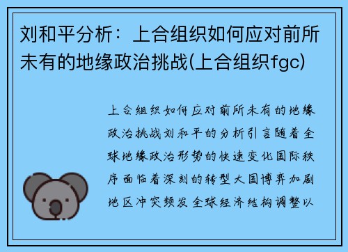 刘和平分析：上合组织如何应对前所未有的地缘政治挑战(上合组织fgc)