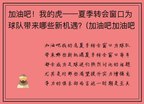 加油吧！我的虎——夏季转会窗口为球队带来哪些新机遇？(加油吧加油吧我们加油吧)